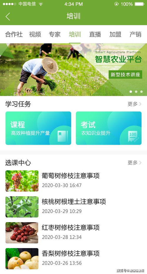 中国农民丰收节 新疆电信谱写乡村振兴华彩乐章